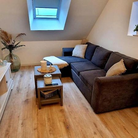Appartement Charmant Et Spacieux Auxerre Zewnętrze zdjęcie