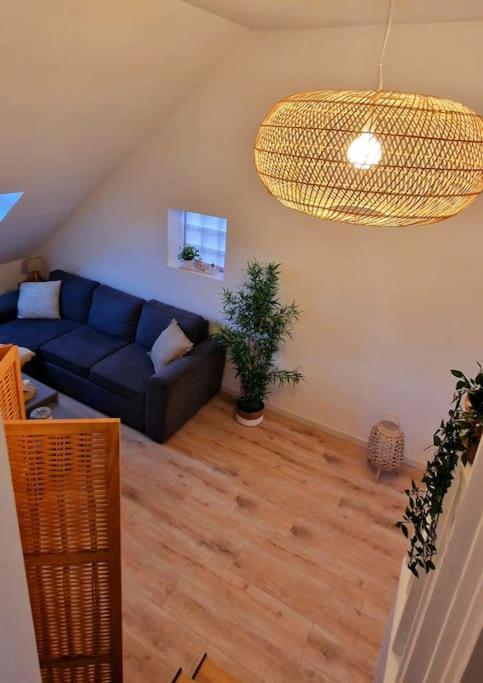 Appartement Charmant Et Spacieux Auxerre Zewnętrze zdjęcie